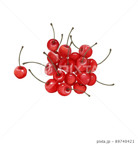 サクランボ狩りのイラスト素材 サクランボ狩りのイラスト素材