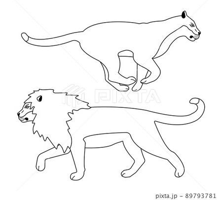 動物 ライオン 横顔 哺乳類のイラスト素材