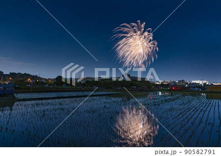 花火 田んぼ 打ち上げ花火 夜の写真素材