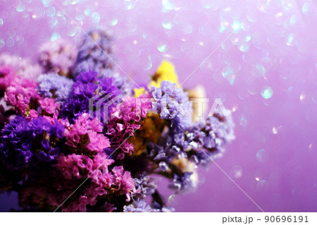 スターチスのイラスト素材