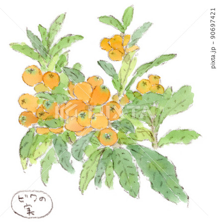 ビワ 枇杷 びわ 木のイラスト素材 - PIXTA