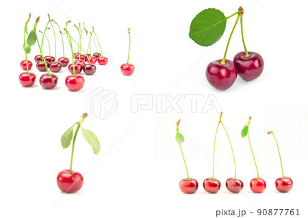 サクランボ さくらんぼ チェリー 葉っぱの写真素材
