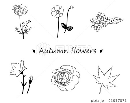 金木犀 花のイラスト素材 金木犀 花のイラスト素材