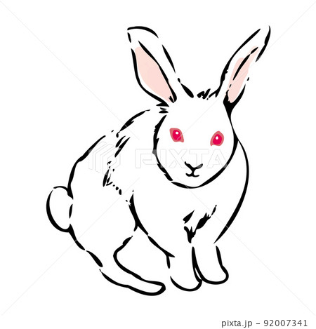 しろうさぎのイラスト素材