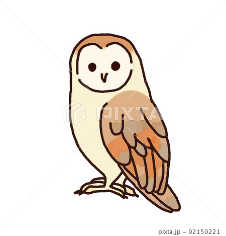 メンフクロウのイラスト素材