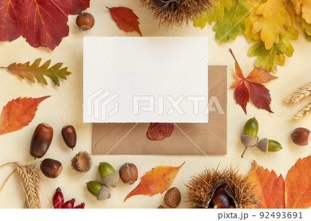 Acorn Images – Browse 199,851 Stock Photos, Vectors, and Video