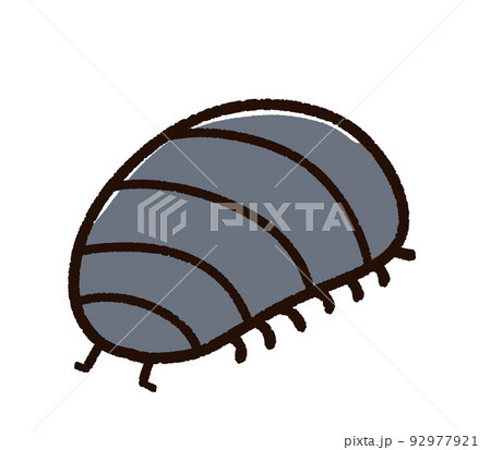 ダンゴムシのイラスト素材