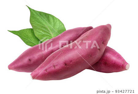 さつまいものイラスト素材集 ピクスタ