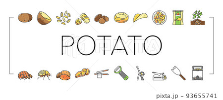 Cute potato character - Stock Illustration [75074534] - PIXTA