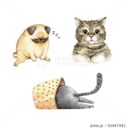 眠り猫のイラスト素材