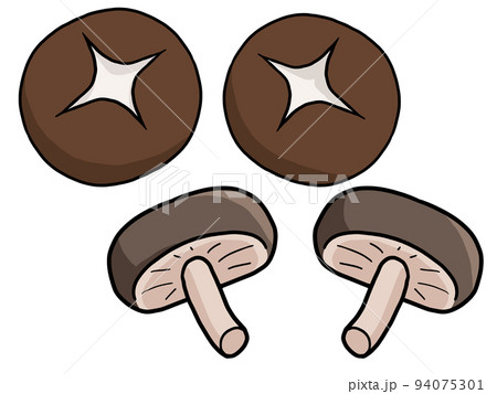 椎茸のイラスト素材