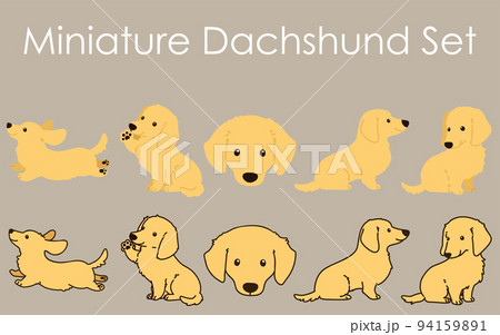 ミニチュア ダックスフンドのイラスト素材
