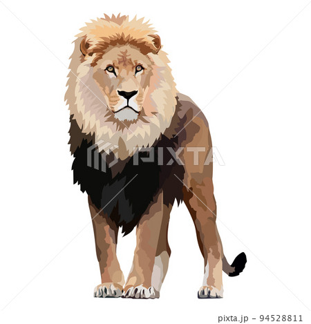動物 ライオン 横顔 哺乳類のイラスト素材