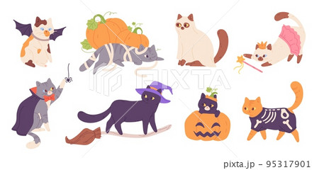 綺麗な猫のイラスト素材