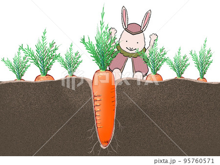 にんじんのイラスト素材集 ピクスタ