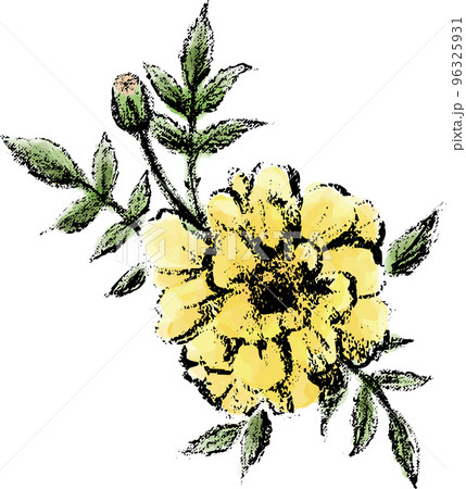 デッサン 花 10f143eff58df5a2a1097060f93bb9
