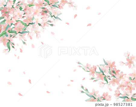 桃 花 桃の花 水彩のイラスト素材 - PIXTA