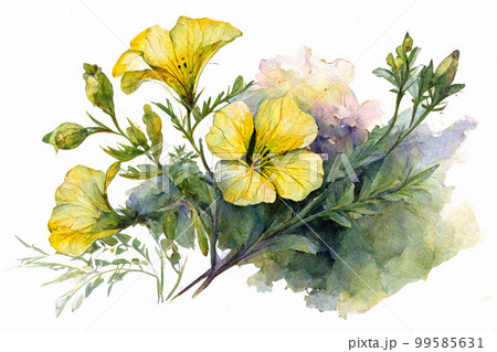 水彩画「月見草 と つゆ草」静物画 レトロ ゴールドフレーム