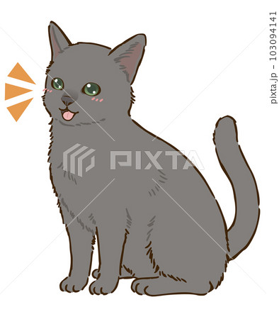 動物 ロシアンブルー 猫のイラスト素材 - PIXTA