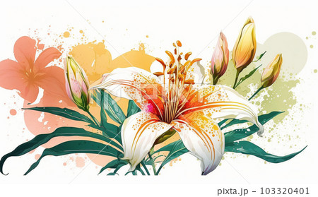 水彩画 ユリ 百合 花のイラスト素材 - PIXTA