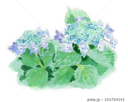手描きイラスト✢創作水彩原画『見帰りの紫陽花』 紫陽花水彩画[夏の記憶・私をみつけて！]原画一点もの、青の世界