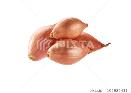 Onions being grated – License Images – 12337962 ❘ StockFood