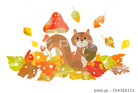 リス 秋 落ち葉 どんぐりのイラスト素材 - PIXTA