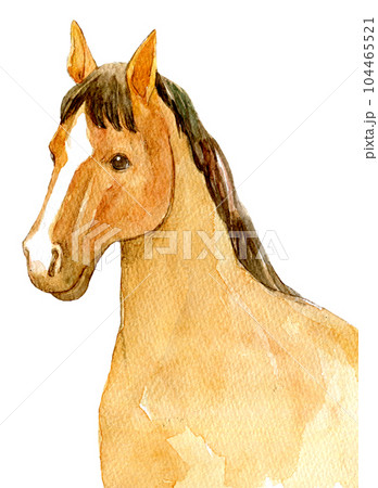 馬 毛並み サラブレッド 競走馬のイラスト素材 - PIXTA