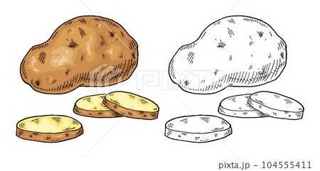 Potato drawing isolated sliced potatoe Royalty Free Vector