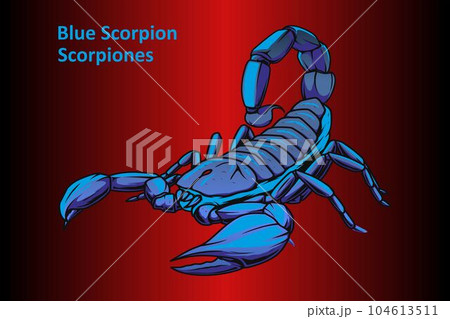 20 top Scorpion Tattoo Design ideas in 2024