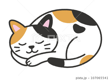 寝る 寝顔 猫 イラストのイラスト素材 - PIXTA