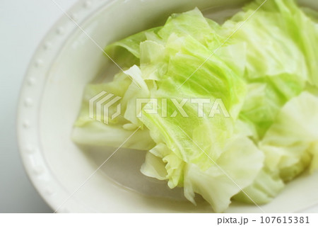 49ページ目 | キャベツの画像素材(108,032点以上の高品質な写真