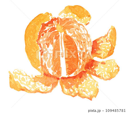 Kotatsu, mandarin orange and cat Japanese style - Stock Illustration  [96095419] - PIXTA