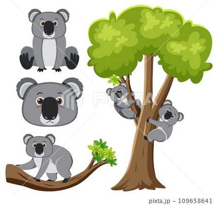 Cute koala cartoon character - Stock Illustration [106230492] - PIXTA