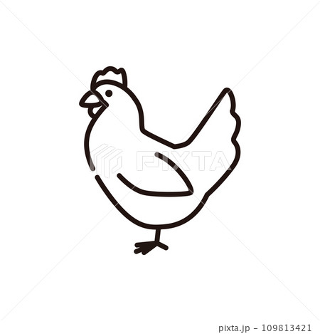 鳥 ニワトリ 種類 ベクターのイラスト素材 - PIXTA
