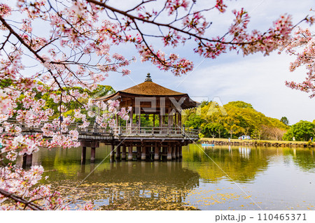 奈良・浮見堂の桜 : 彩の気まぐれ写真
