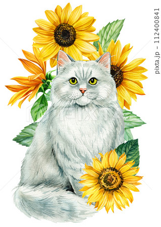 ねこ ネコ 猫 ひまわりのイラスト素材 - PIXTA