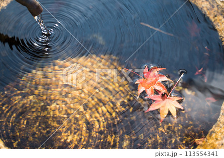 水瓶ともみじ 水瓶 水がめ 亀の写真素材 - PIXTA