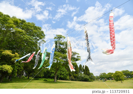 青空に泳ぐ鯉のぼり