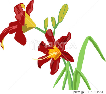 掛軸花卉圖1 花卉- Single by 吉佑社| Spotify