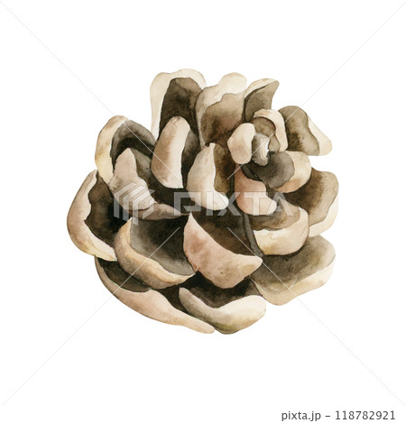 松ぼっくり油彩画 sddefault.jpg