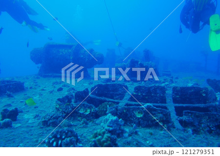 カメ サンゴ 珊瑚 珊瑚礁の写真素材 - PIXTA