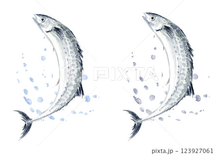 魚 海水魚 墨絵 水墨画のイラスト素材 - PIXTA