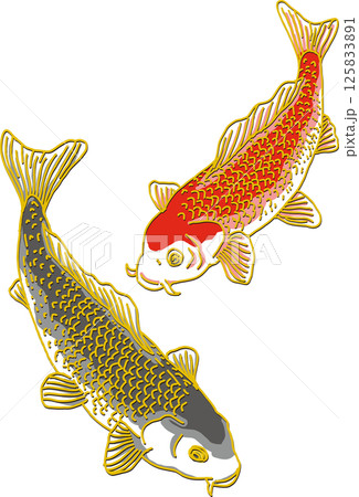 鯉・錦鯉の画像素材(64,533点以上の高品質な写真・イラスト素材