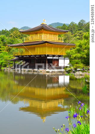 鳳凰像 金閣寺 鳳凰の写真素材 - PIXTA