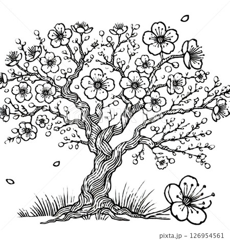 モノクロ原画 花❁❀✿✾ 5184329dc3ef83623381060d0b46e0