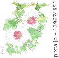 夏の植物、木槿の花の水彩画イラストのイラスト素材 [129674852] - PIXTA