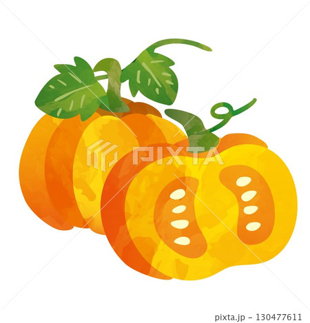 かぼちゃ 水墨画 南瓜 野菜の写真素材 - PIXTA