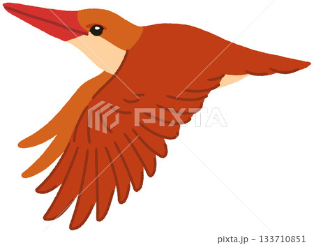 カワセミ 飛ぶ 鳥 birdのイラスト素材 - PIXTA