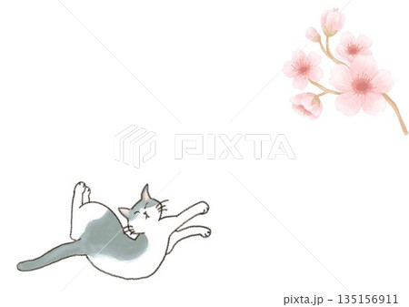 桜猫のイラスト素材 - PIXTA